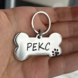 Адресник-кісточка з кличкою «РЕКС» і лапкою